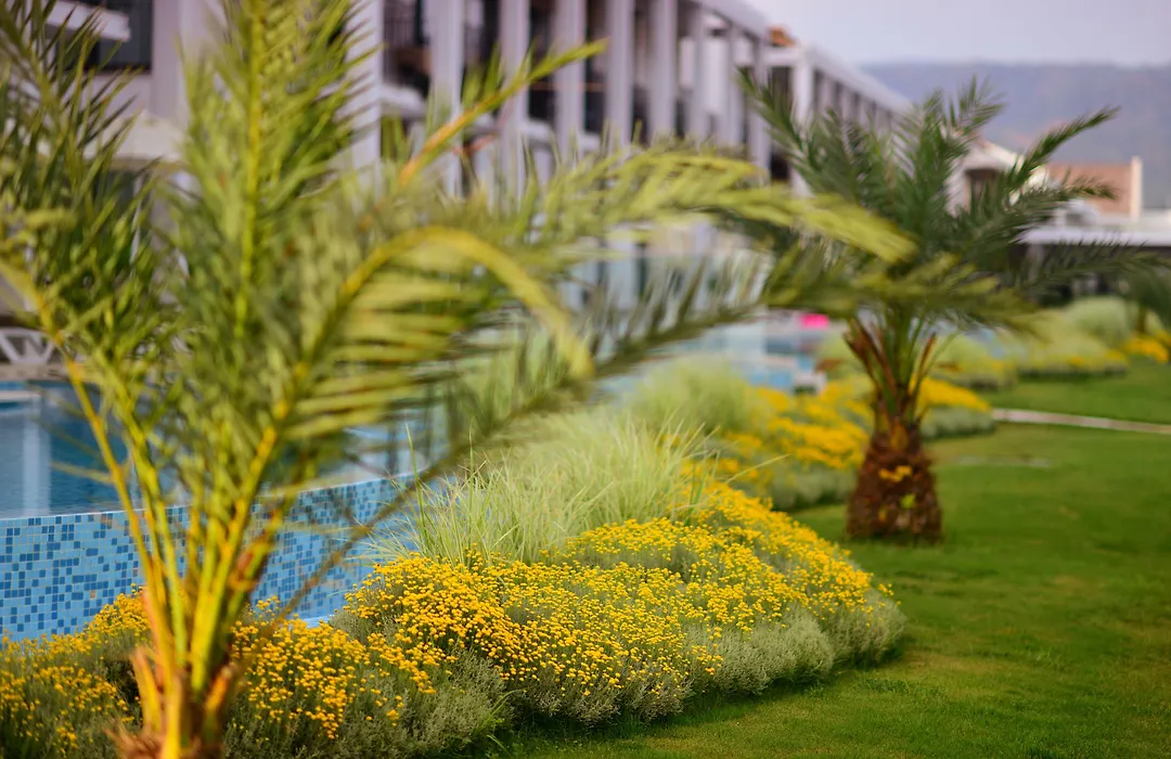Jiva Beach Resort-1